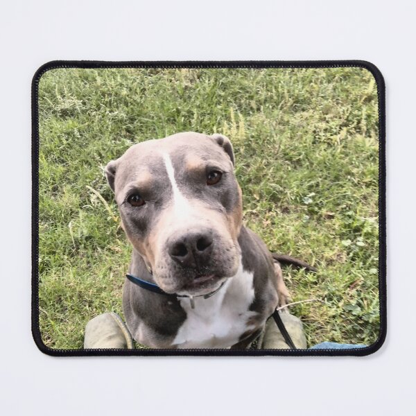 Item preview, Man's Best Friend designed and sold by EricWilliams80.