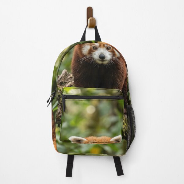 Item preview, Red panda on a branch designed and sold by Malisa345.