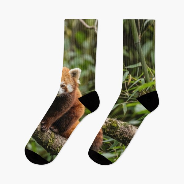 Item preview, Red panda on a branch designed and sold by Malisa345.