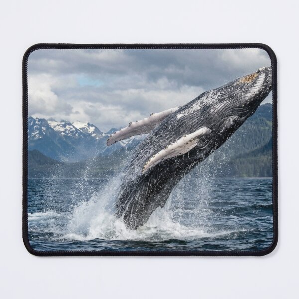 Item preview, Whale leaping out of the water. designed and sold by Malisa345.