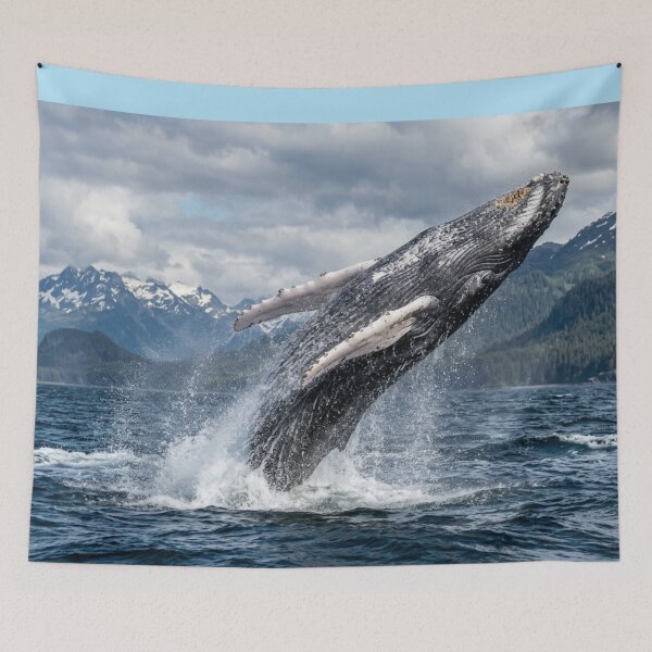 Item preview, Whale leaping out of the water. designed and sold by Malisa345.