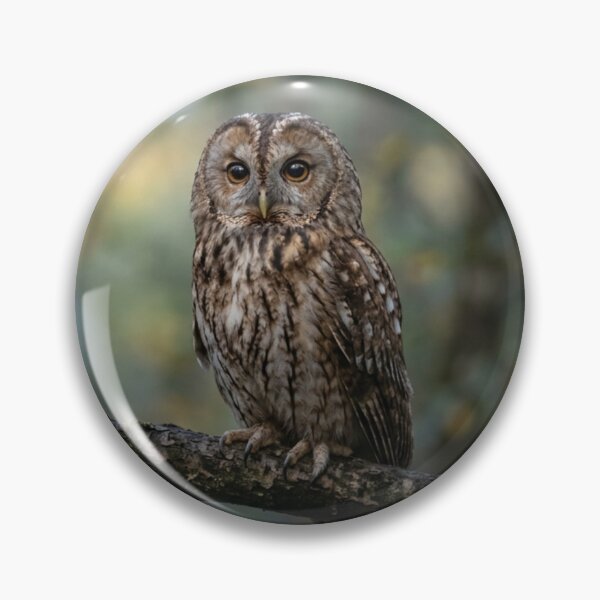 Item preview, Owl on a branch designed and sold by Malisa345.