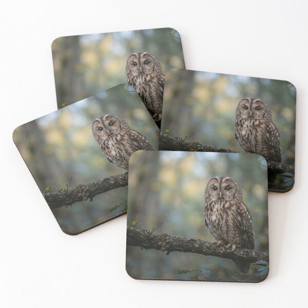 Item preview, Owl on a branch designed and sold by Malisa345.