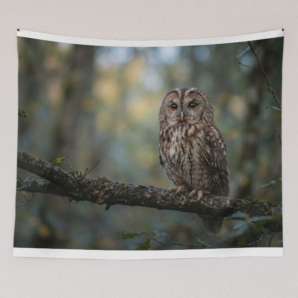 Item preview, Owl on a branch designed and sold by Malisa345.