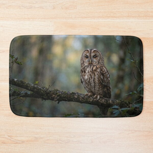 Item preview, Owl on a branch designed and sold by Malisa345.