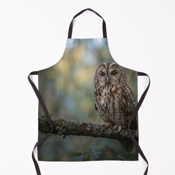 Item preview, Owl on a branch designed and sold by Malisa345.