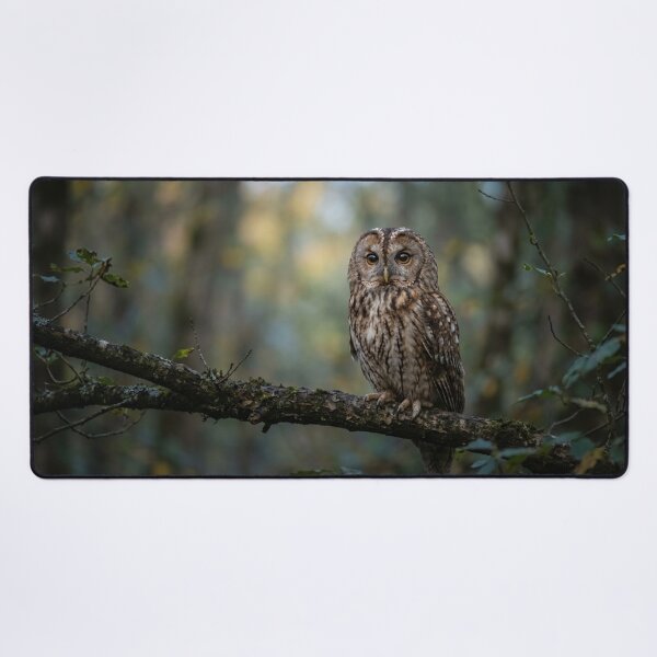 Item preview, Owl on a branch designed and sold by Malisa345.