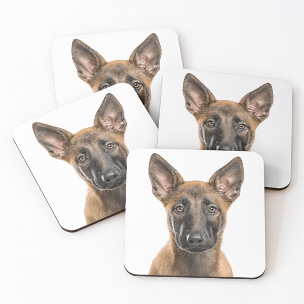 Item preview, Adorable Belgian Malinois Pup for Cute Belgian Shepherd puppy lovers designed and sold by LazyOwlStore.