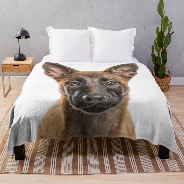 Item preview, Adorable Belgian Malinois Pup for Cute Belgian Shepherd puppy lovers designed and sold by LazyOwlStore.