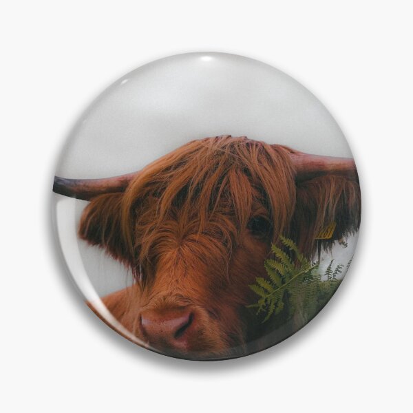 Item preview, The Highlander — Scottish Highland Cow Fine Art Photography designed and sold by GrowNest.