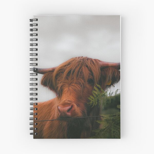 Item preview, The Highlander — Scottish Highland Cow Fine Art Photography designed and sold by GrowNest.