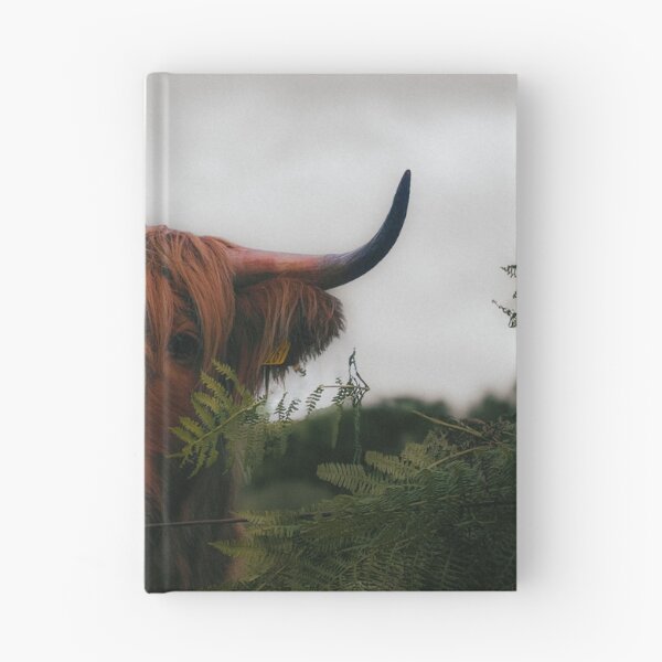 Item preview, The Highlander — Scottish Highland Cow Fine Art Photography designed and sold by GrowNest.