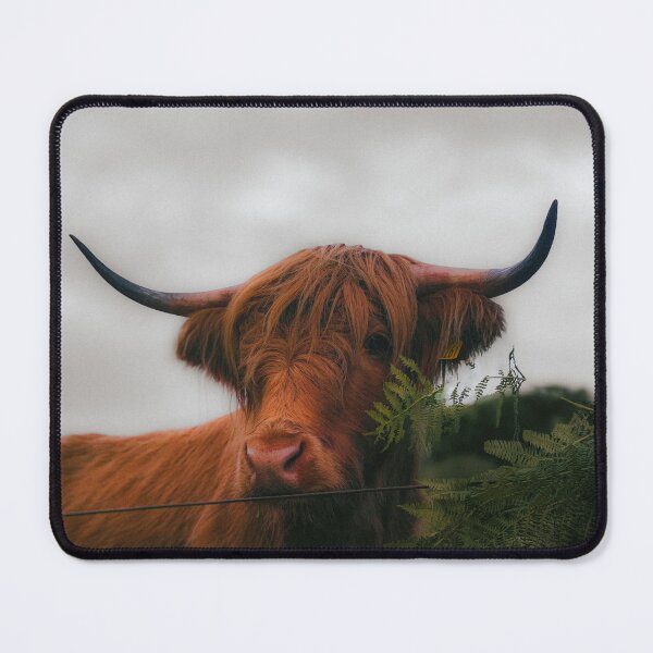 Item preview, The Highlander — Scottish Highland Cow Fine Art Photography designed and sold by GrowNest.