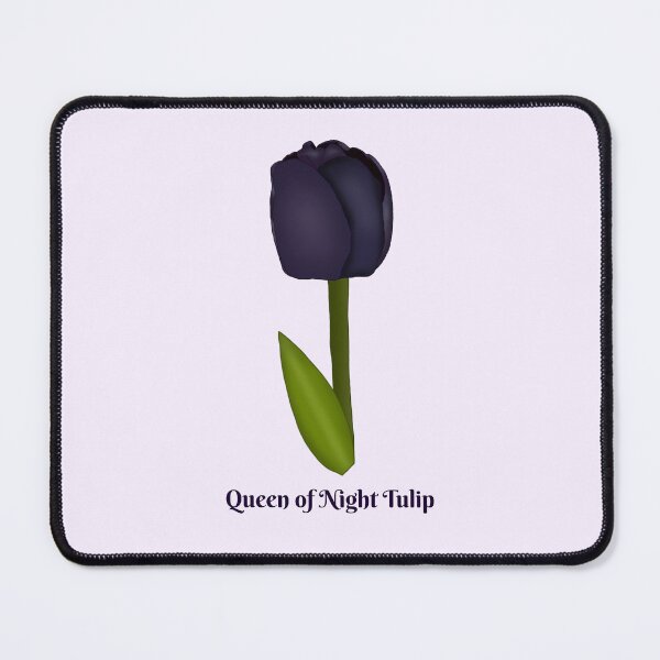 Item preview, Queen of night tulip designed and sold by Floralfusion.