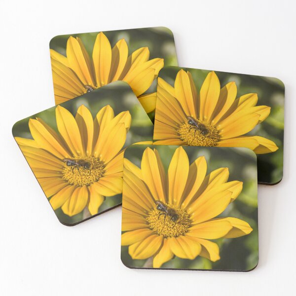 Item preview, Honeybee Pollinating Bright Yellow Daisy Flower Macro Close-Up In Sunny Summer Garden designed and sold by Nmallia.