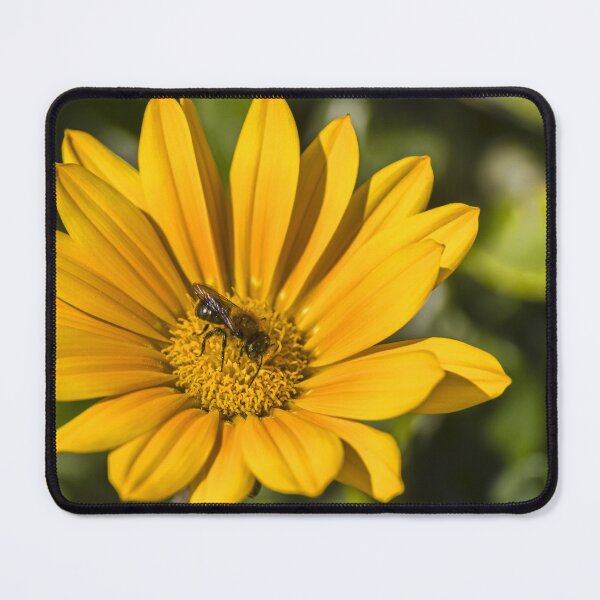 Item preview, Honeybee Pollinating Bright Yellow Daisy Flower Macro Close-Up In Sunny Summer Garden designed and sold by Nmallia.