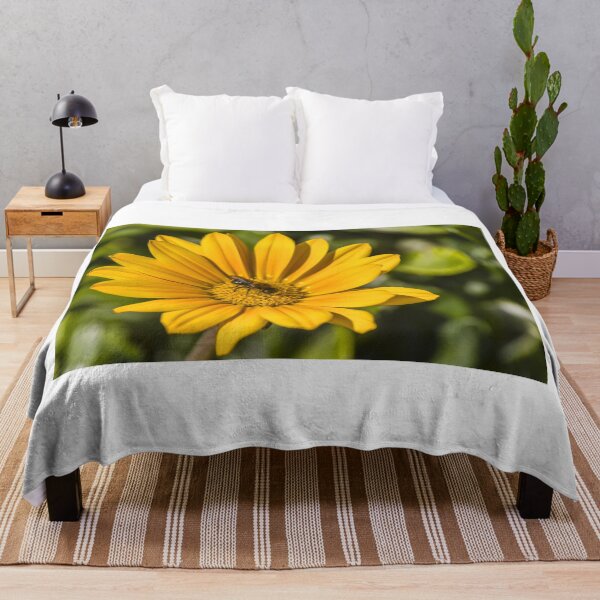Item preview, Honeybee Pollinating Bright Yellow Daisy Flower Macro Close-Up In Sunny Summer Garden designed and sold by Nmallia.