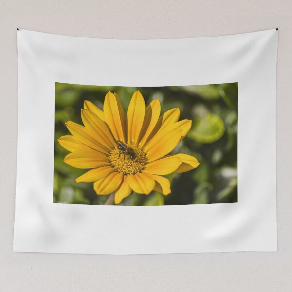 Item preview, Honeybee Pollinating Bright Yellow Daisy Flower Macro Close-Up In Sunny Summer Garden designed and sold by Nmallia.