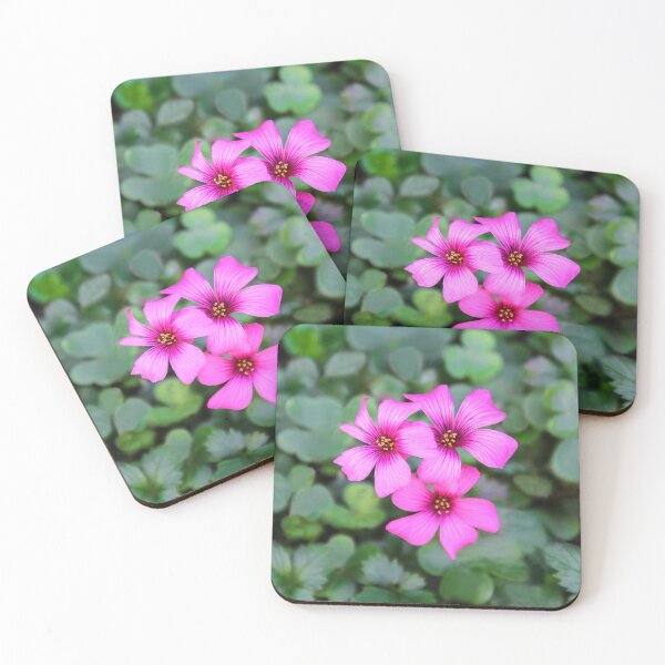 Item preview, Beauty in the Clover  designed and sold by heatherfriedman.