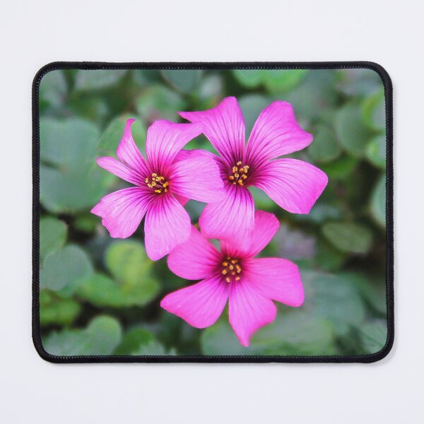 Item preview, Beauty in the Clover designed and sold by heatherfriedman.
