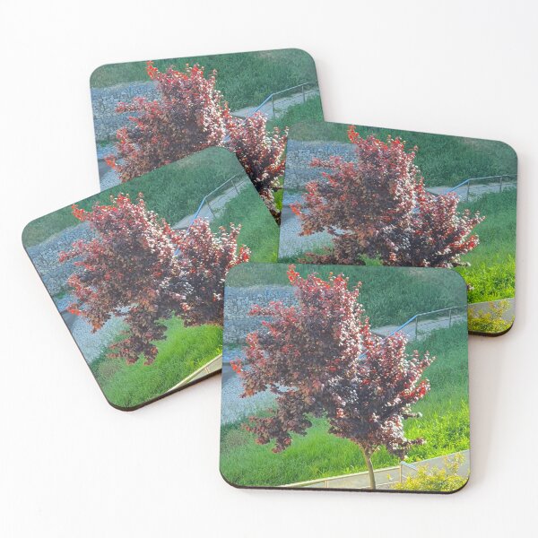 Item preview, after the flowers, new foliage designed and sold by Tereza Pilar  Art.