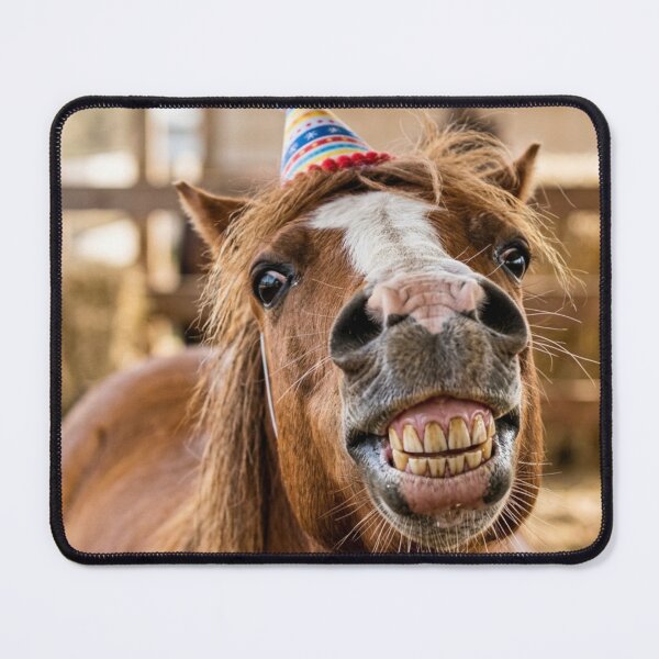 Item preview, Cheerful horse with a festive hat designed and sold by Malisa345.