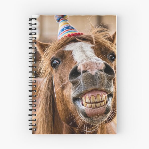 Item preview, Cheerful horse with a festive hat designed and sold by Malisa345.