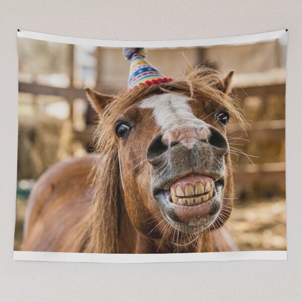 Aperçu de l'œuvre Cheval joyeux avec chapeau festif créée et vendue par Malisa345.