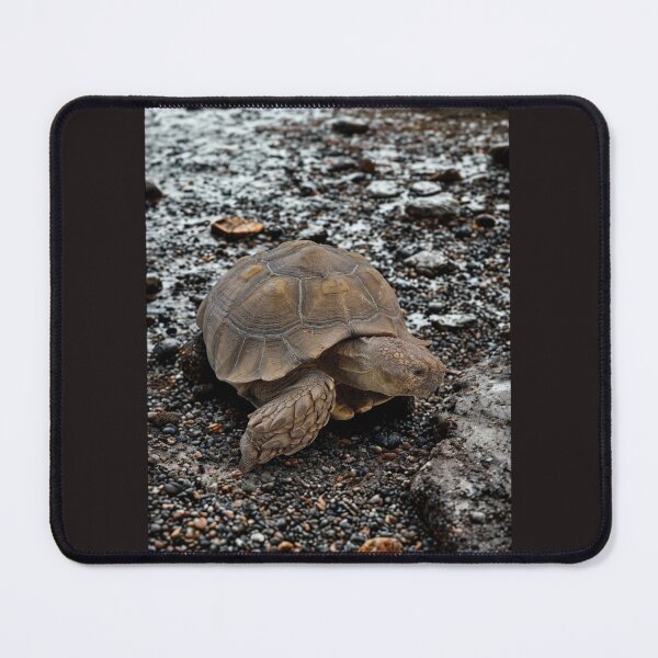 Item preview, Tortoise designed and sold by Jabbathepug.