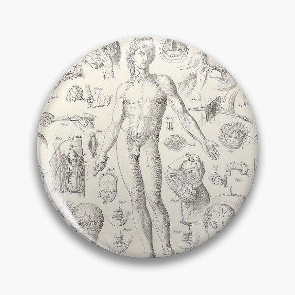 Item preview, Surgical Anatomy Study | Vintage Medical designed and sold by GammaRay.