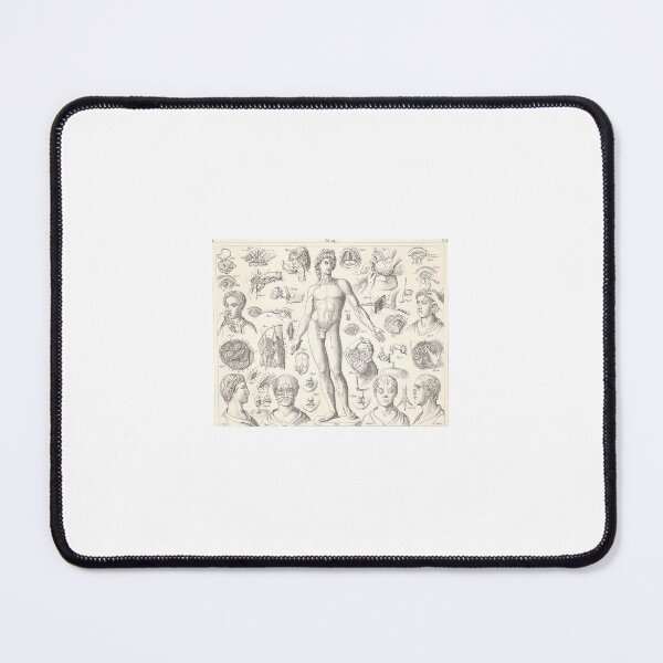 Item preview, Surgical Anatomy Study | Vintage Medical designed and sold by GammaRay.