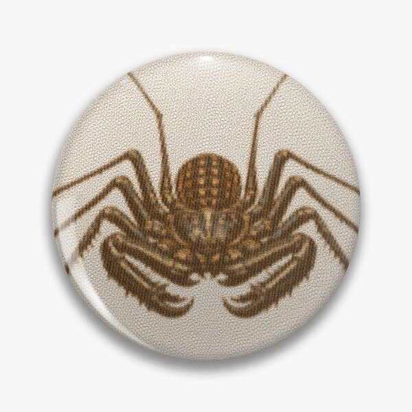 Item preview, Tailless Whip Scorpion Lines designed and sold by florback.