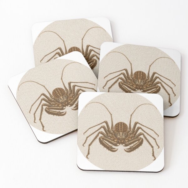 Item preview, Tailless Whip Scorpion Lines designed and sold by florback.