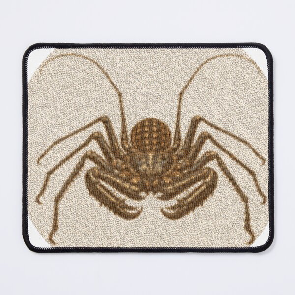 Item preview, Tailless Whip Scorpion Lines designed and sold by florback.