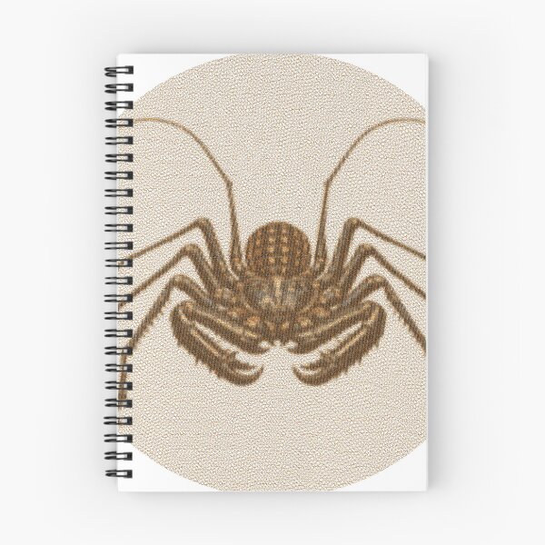 Item preview, Tailless Whip Scorpion Lines designed and sold by florback.