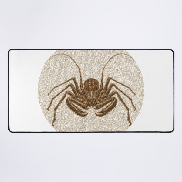 Item preview, Tailless Whip Scorpion Lines designed and sold by florback.