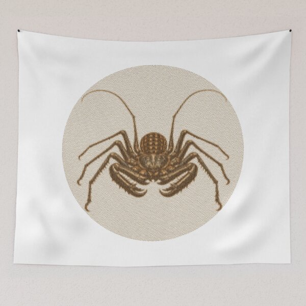 Item preview, Tailless Whip Scorpion Lines designed and sold by florback.