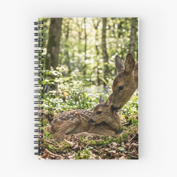 Item preview, Doe and her fawn. designed and sold by Malisa345.