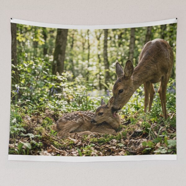 Item preview, Doe and her fawn. designed and sold by Malisa345.