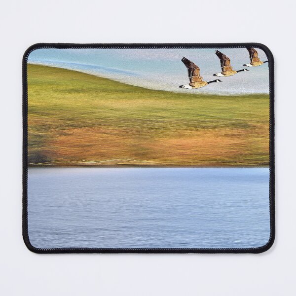 Item preview, Autumn Geese Flyover designed and sold by BostonArcImage.