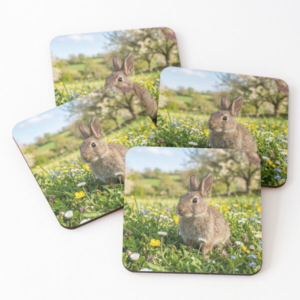 Item preview, Rabbit in a flowery field designed and sold by Malisa345.