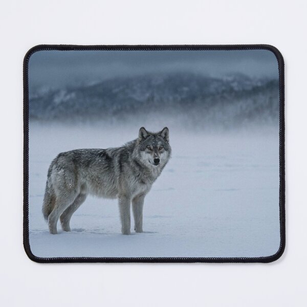 Item preview, Wolf in the snowy mountains designed and sold by Malisa345.