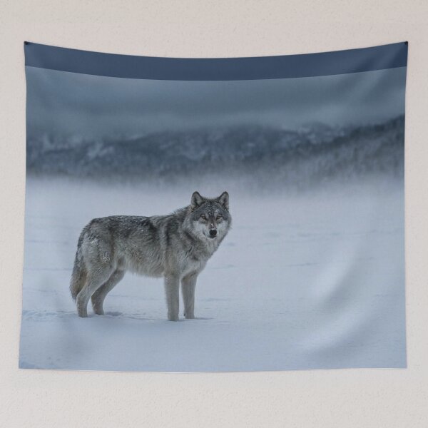 Aperçu de l'œuvre Loup dans les montagnes enneigées créée et vendue par Malisa345.