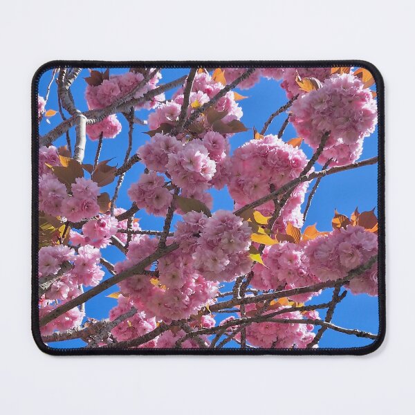 Item preview, Double Cherry Blossom and Blue Sky designed and sold by Sajah.