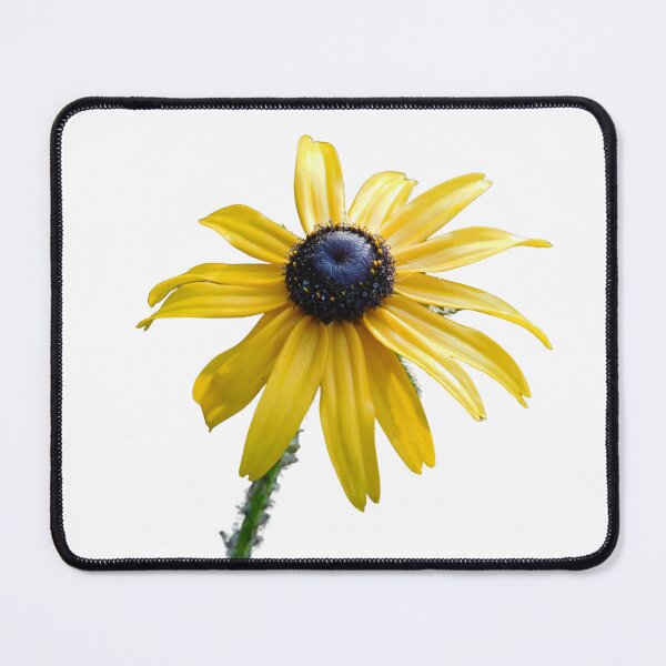 Item preview, black-eyed susan closeup designed and sold by The Watershed.
