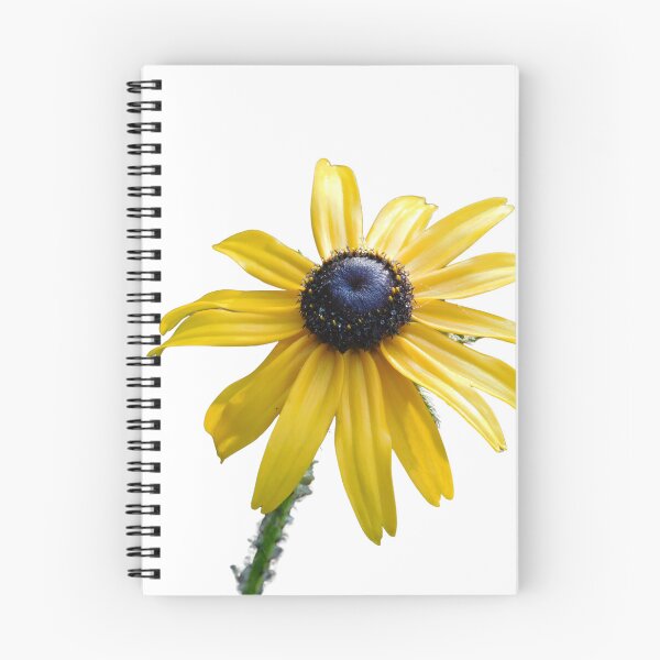 Item preview, black-eyed susan closeup designed and sold by The Watershed.
