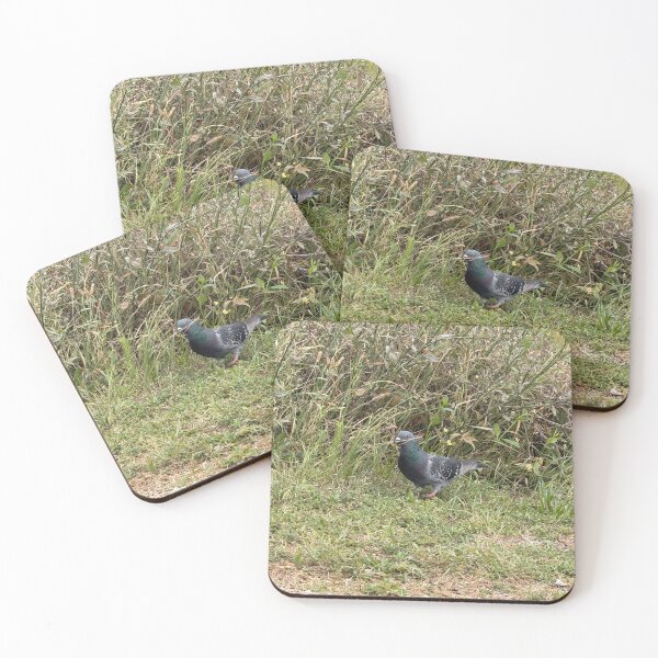 Item preview, A rock dove hiding in the thicket. designed and sold by Pearls1.