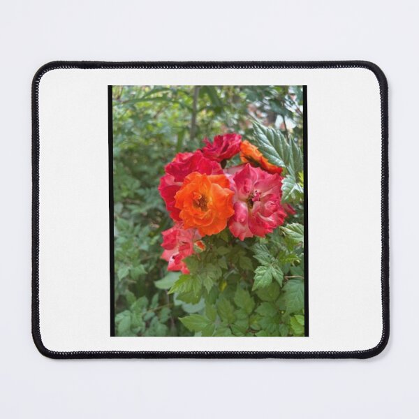 Item preview, Rose ? bundles. designed and sold by Pearls1.