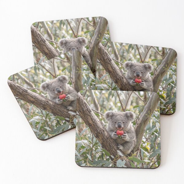 Item preview, Baby Koala Eating Strawberries designed and sold by Brochamorocha.