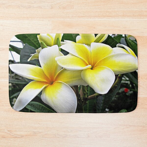 Item preview, Frangipani  designed and sold by Ethna Gillespie.